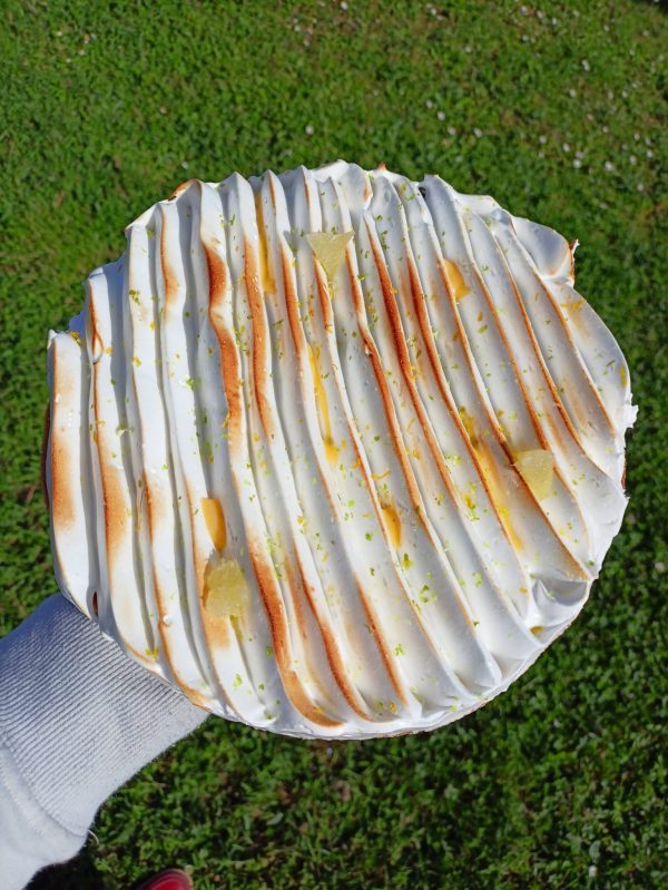Atelier adultes / Tarte citron meringuée – Image 2